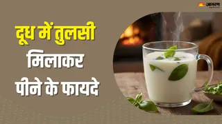 जानिए तुलसी वाला दूध पीने के जादुई लाभ (Picture Credit- AI Generated)