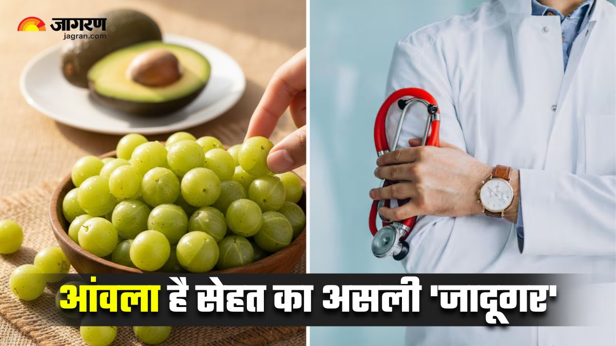 forget pricey avocado gastroenterologist names amla the affordable superfood check 5 benefits