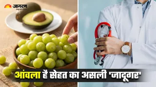 भूल जाइए महंगे एवोकाडो, रोज खाएं एक आंवला (Image Source: Freepik)