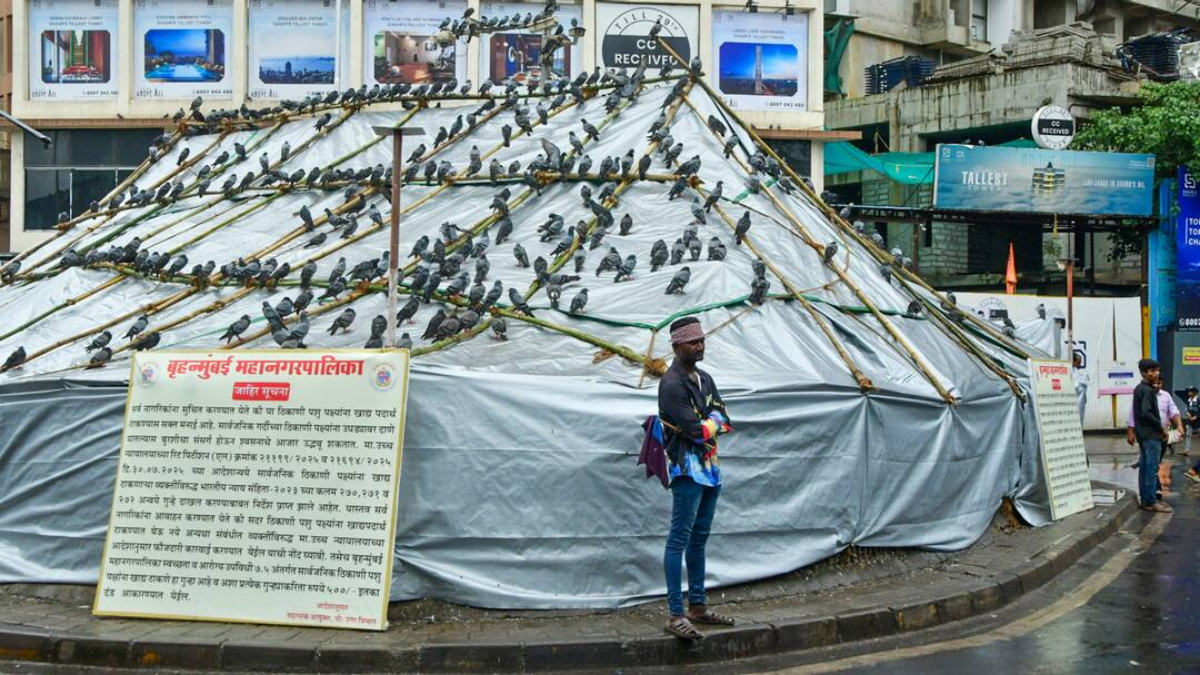 jain monk fasts against dadar pigeon house closure