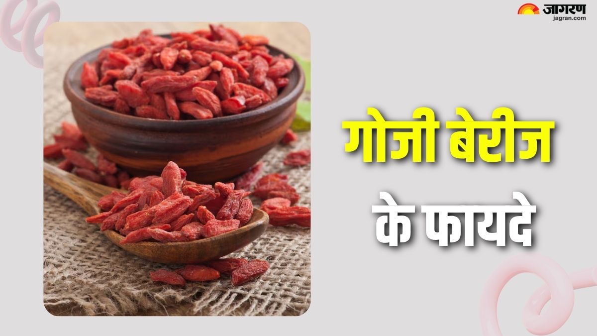 amazing benefits of eating goji berries youll be shocked