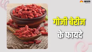 गोजी बेरीज: सेहत के लिए चमत्कारी फायदे! (Picture Credit- Freepik)