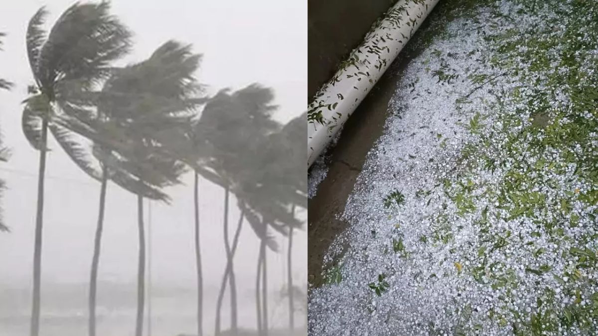 a western disturbance is becoming active in himachal from today with hailstorms expected at some places and severe storms elsewhere
