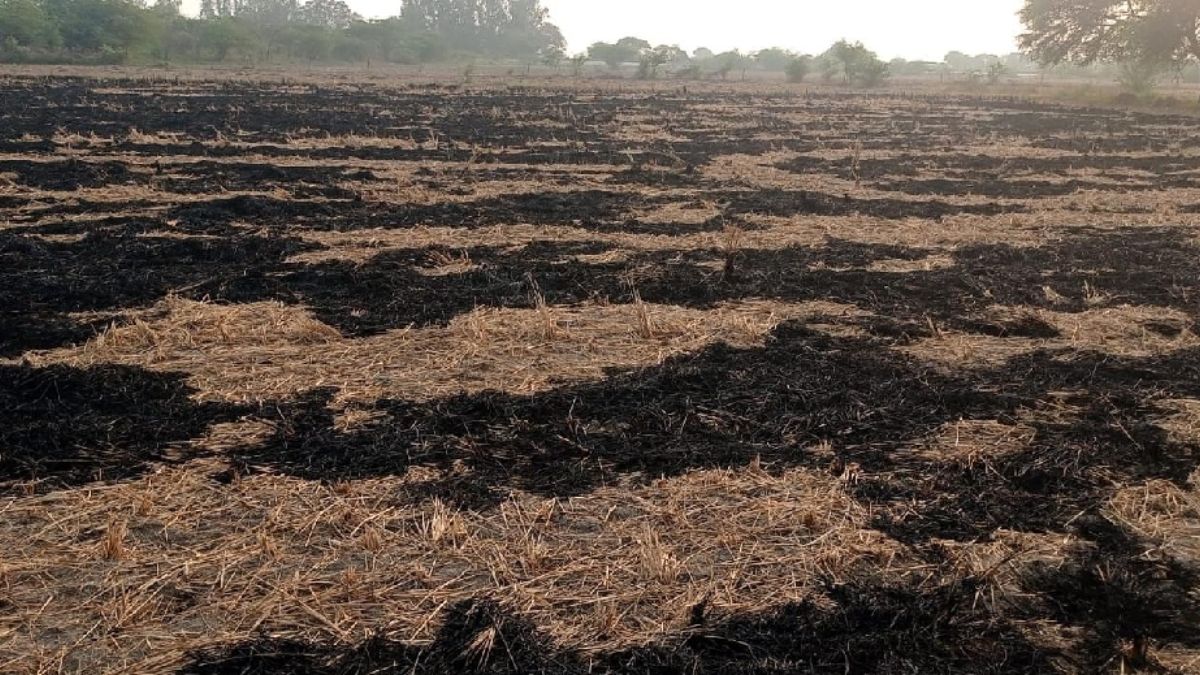 farmer fined 2500 for burning stubble in sitapur