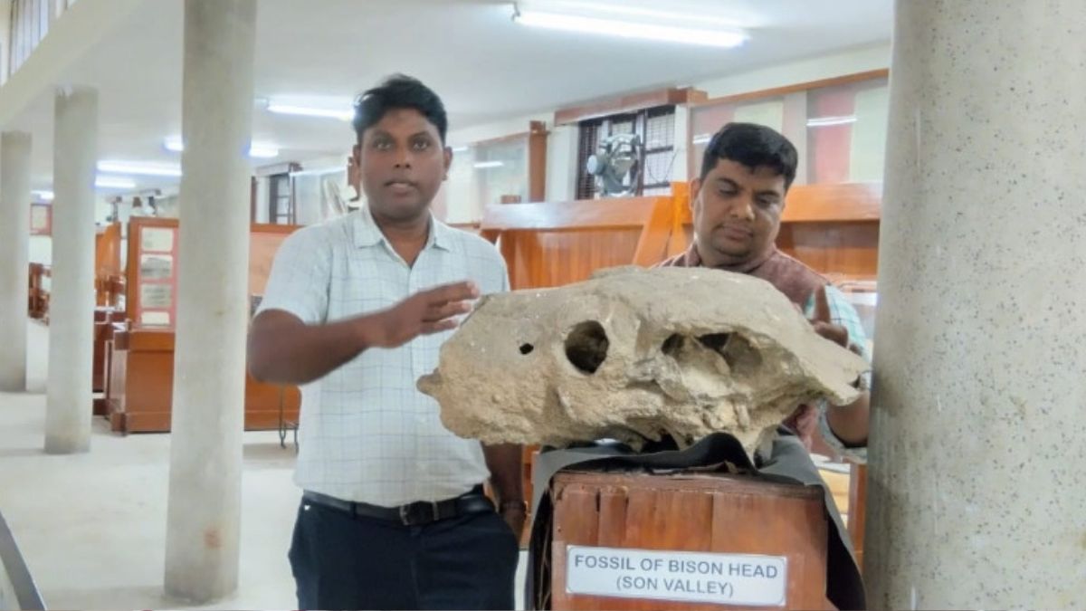 allahabad university skeletons rewriting world history after rakhigarhi