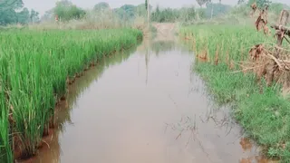 इसी रास्ते से होकर वोट गिराने जाएंगे वोटर