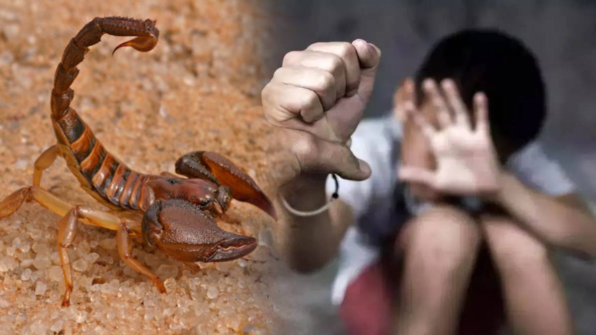 shimla school teachers accused of assaulting dalit student allegations of scorpion inserted in pants