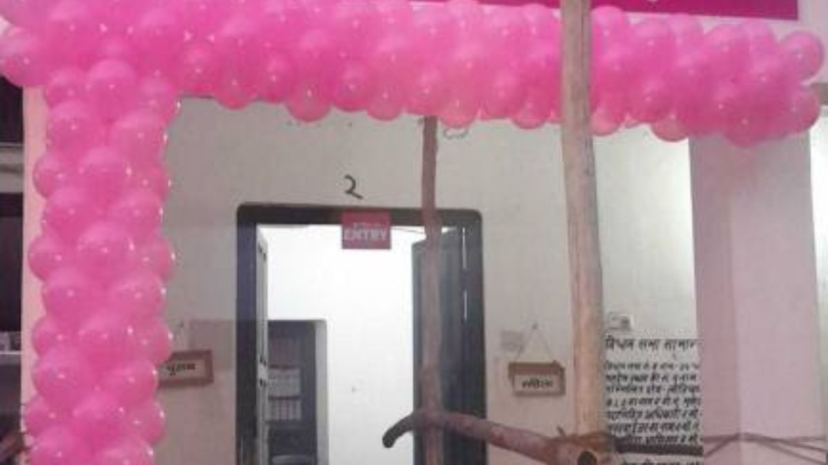 bihar assembly elections 23 model 54 pink and 22 pwd polling stations set up in darbhanga district