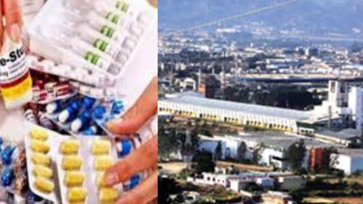 baddi pharma industry licenses revoked after sample fails himachal news