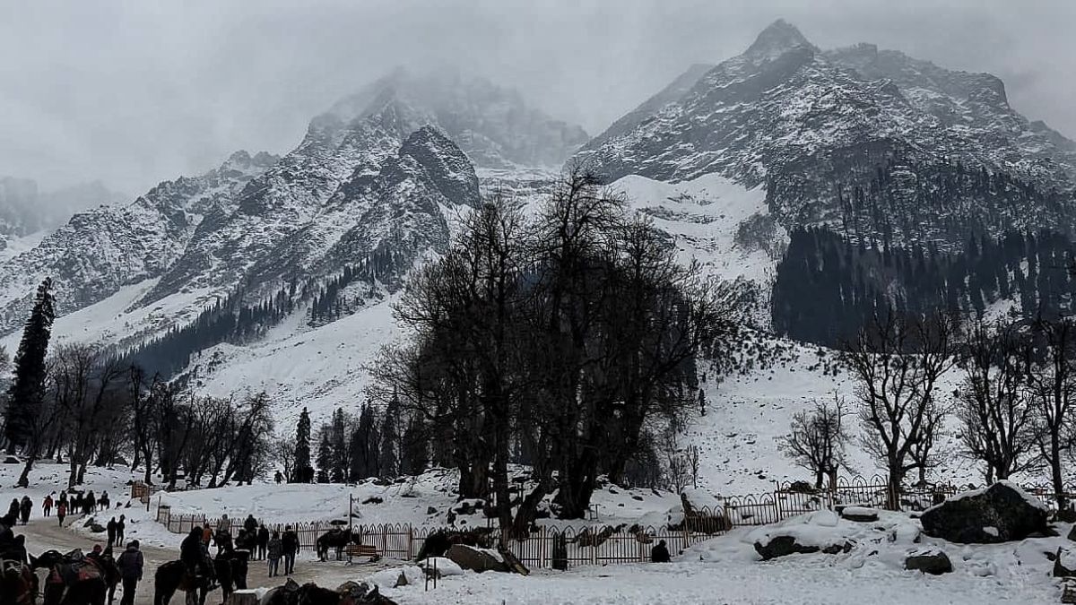 snowfall in kashmir and rain in jammu due to western disturbance meteorological department issues warning