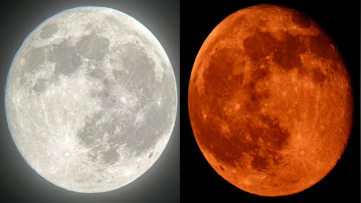 super moon 2025 when is november supermoon 2025 why this event is called beaver moon kartik purnima kab hai dev deepawali 2025