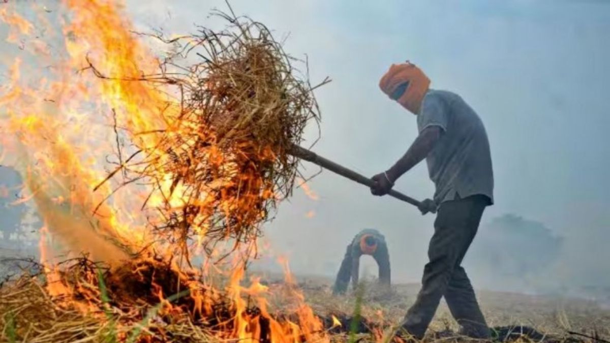 supreme court cracks down on air pollution 5575 lakh fine for stubble burning