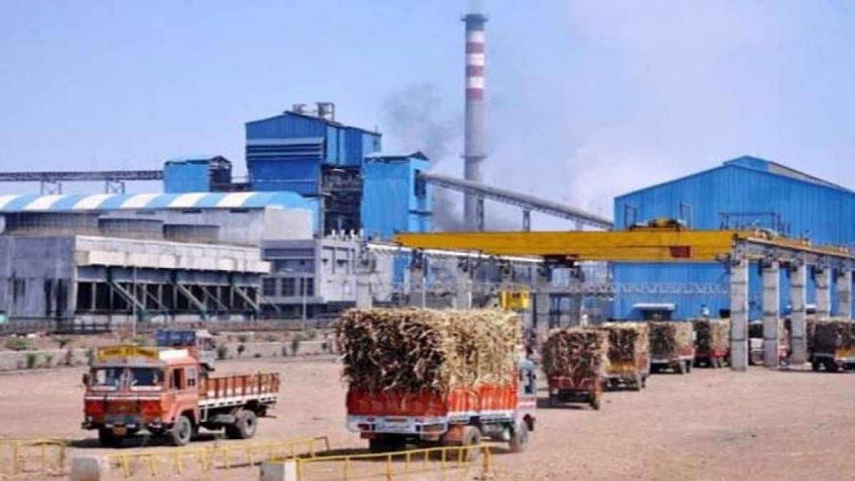 indian sugar industry gears up for global comeback production surge and export opportunities