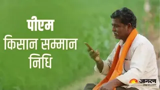 सांकेतिक तस्वीर।