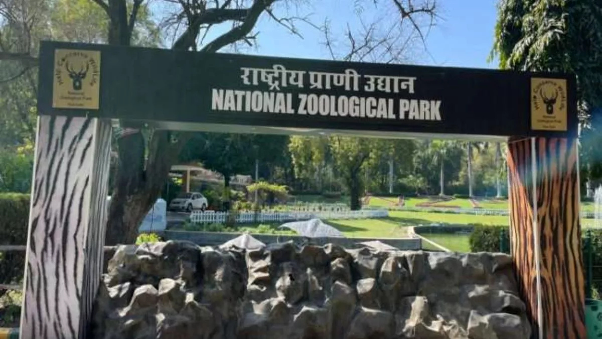 delhi bird flu update zoo to reopen soon after negative reports