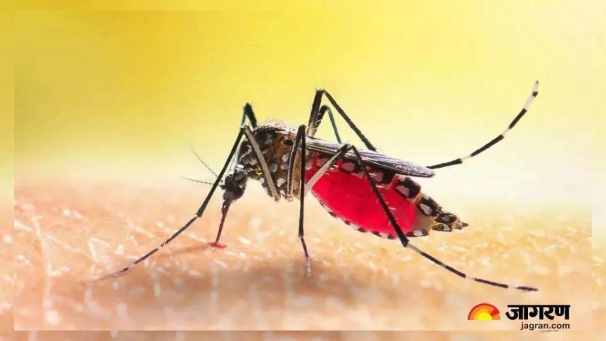 dengue death investigation begins in ghaziabad health department responds
