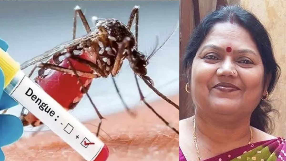 ghaziabad dengue claims womans life as platelets plummet 5 critical