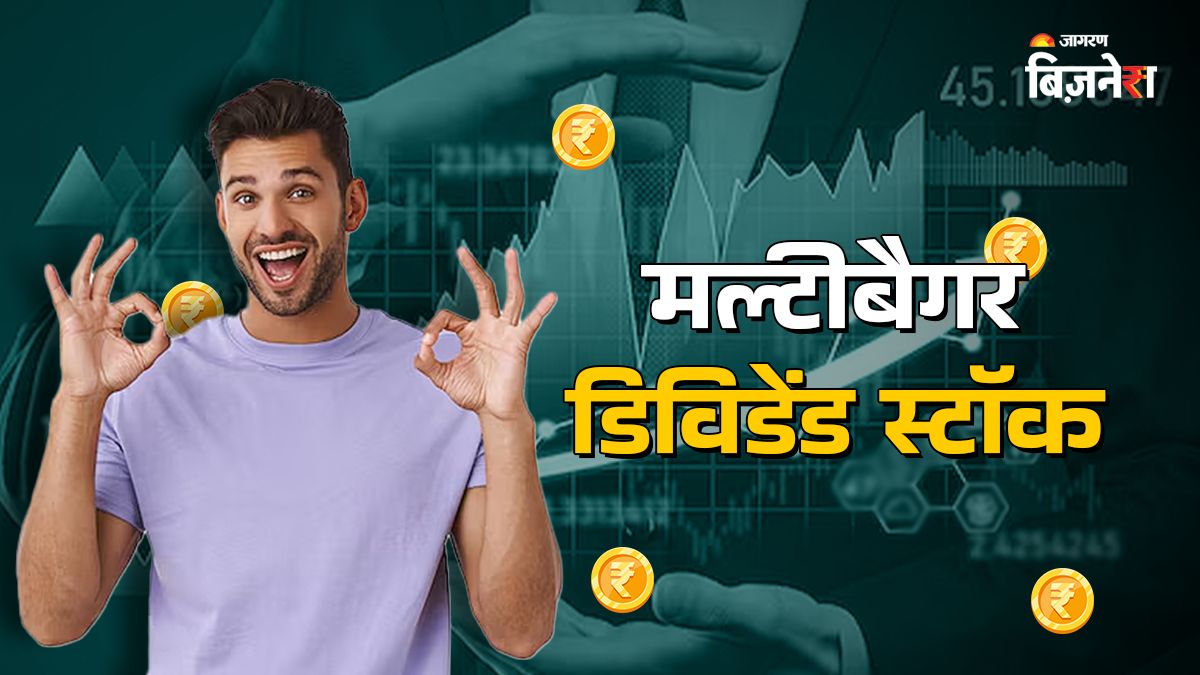 multibagger share elitecon international announces dividend check detail