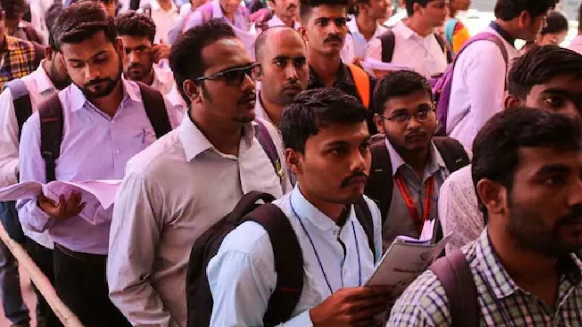 haryana job opportunity apply by november 30th