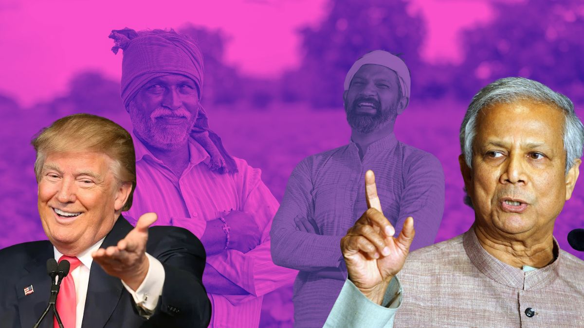 us soybean deal to bangladesh impact on indias soymeal exports