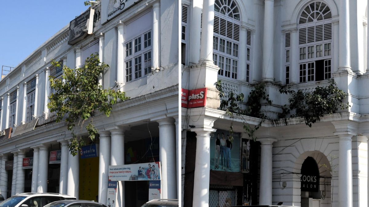 connaught place buildings crumbling tree roots threaten historic structures
