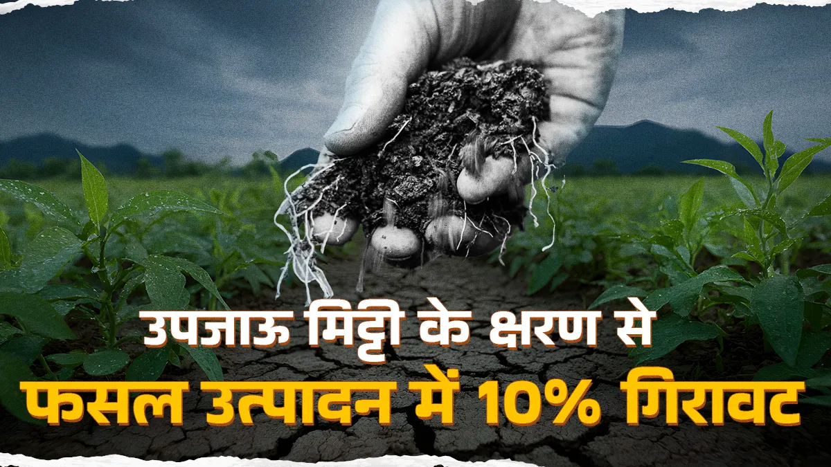 मिट्टी की घटती उत्पादकता ने बढ़ाई चिंता, खाद्य संकट के साथ ही बढ़ा कुपोषण का खतरा
