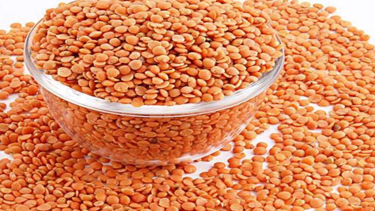 masoor seed minikit availability in varanasi within two days