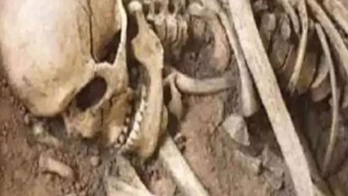 maharashtra prashant shelke skeleton found in ramnagar forest missing from one and half year