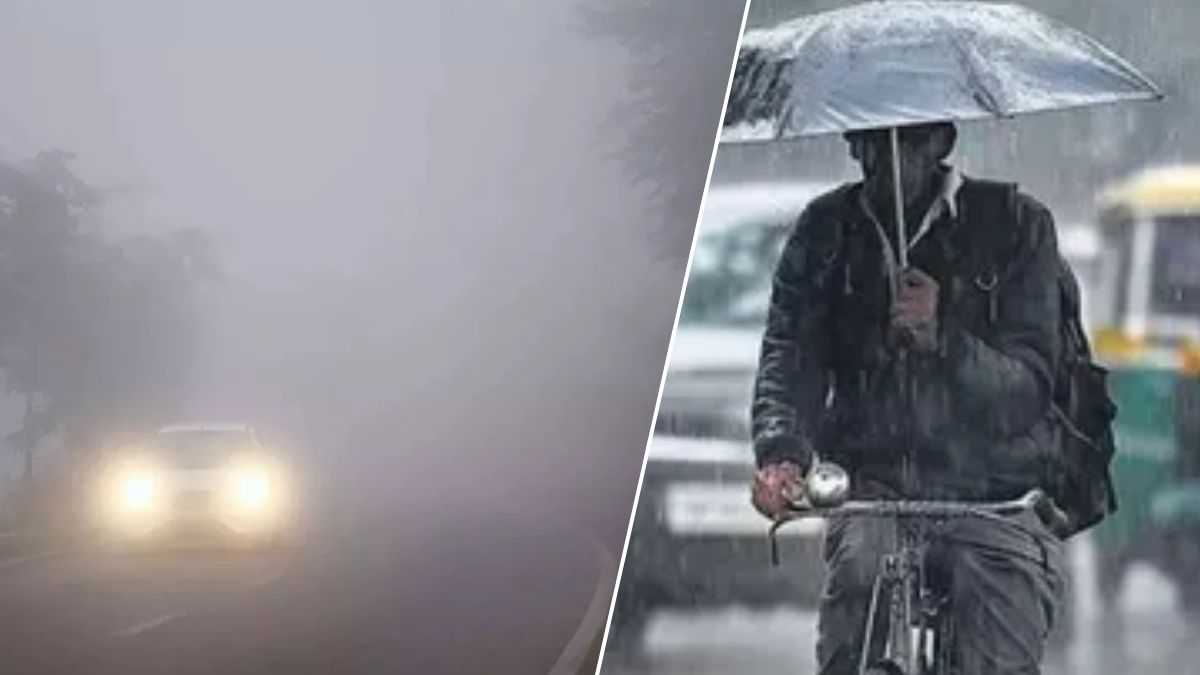 weather update cold wave grips north india rain lashes south