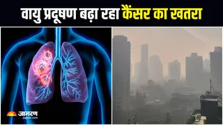 प्रदूषण कैसे 'स्विच ऑन' कर रहा है कैंसर फैलाने वाले जीन्स? (Image Source: Freepik)