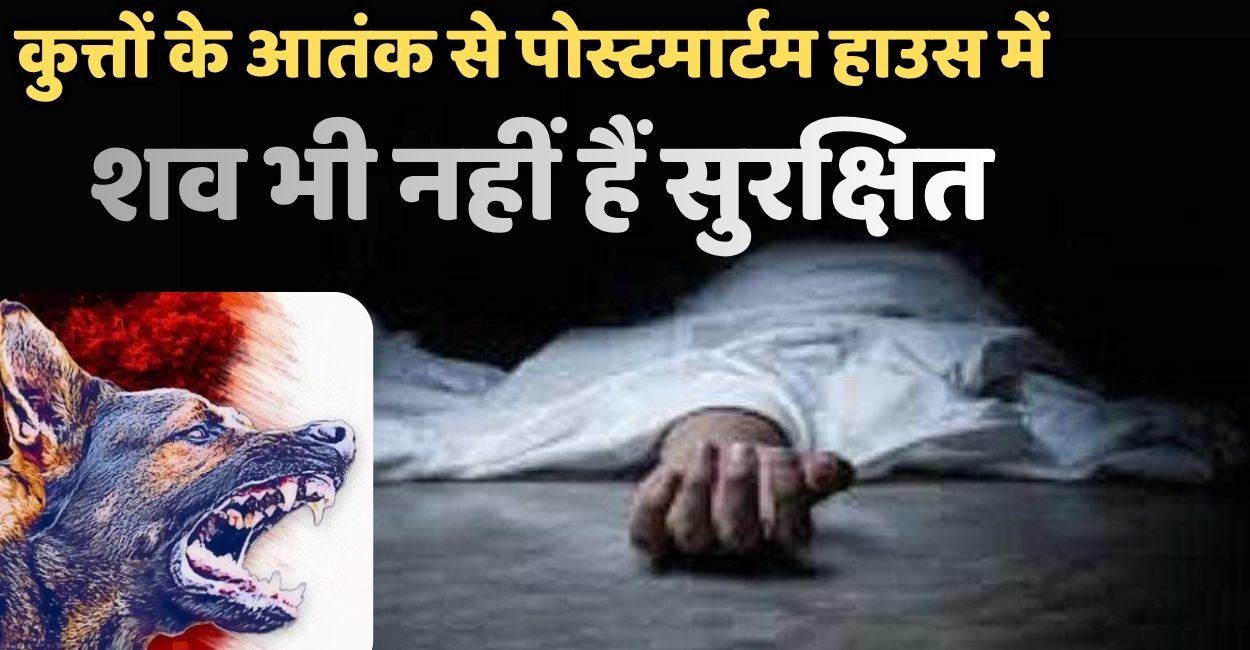 shocking incident at farrukhabad postmortem house stray dogs mutilated body