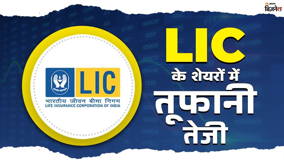 lic shares jump after q2 results 5 brokerage firms raise target price