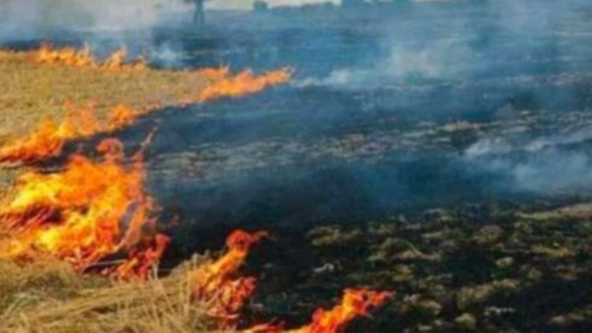 hardoi news adverse entry to panchayat secretaries in matter of parali buring issue in 86 places of 71 panchayats