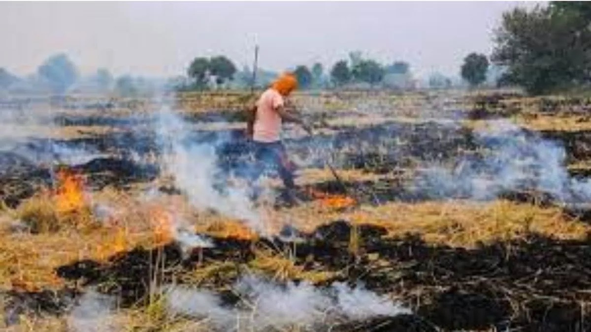 punjab stubble burning 351 cases reported air quality worsens