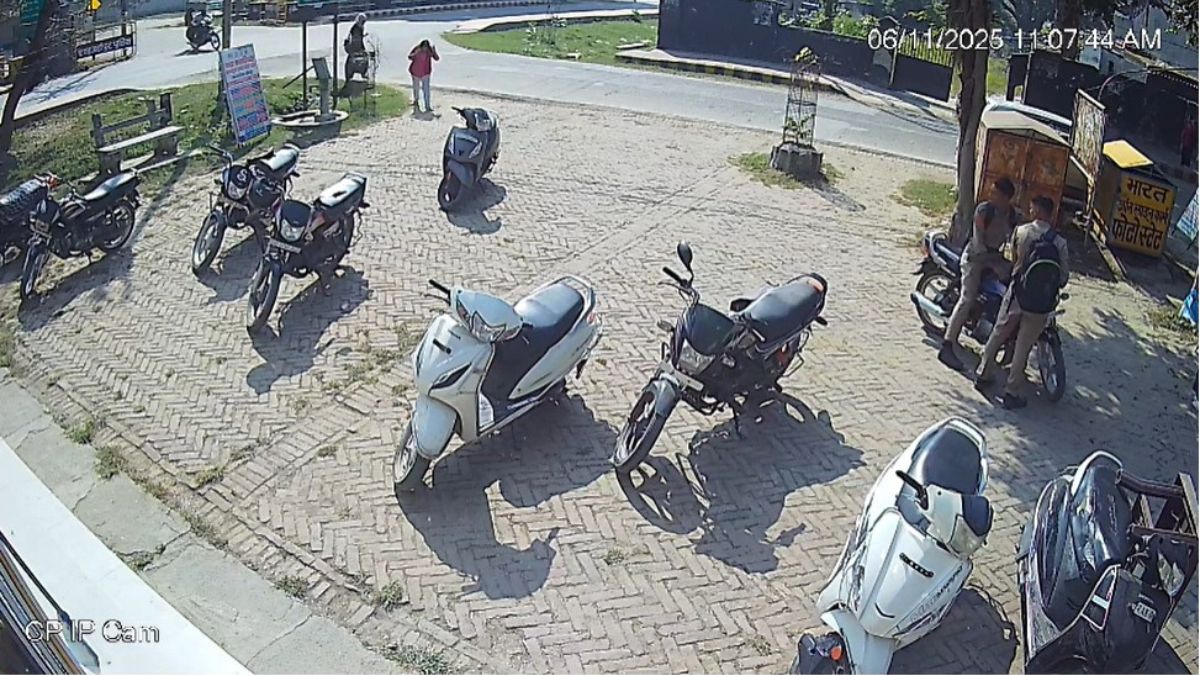 shahjahanpur bee attack causes panic student injured