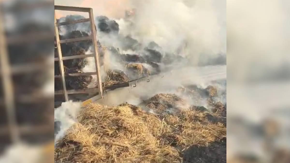 two farmers suffered burn injuries in stubble fire referred to bathinda aiims in critical condition