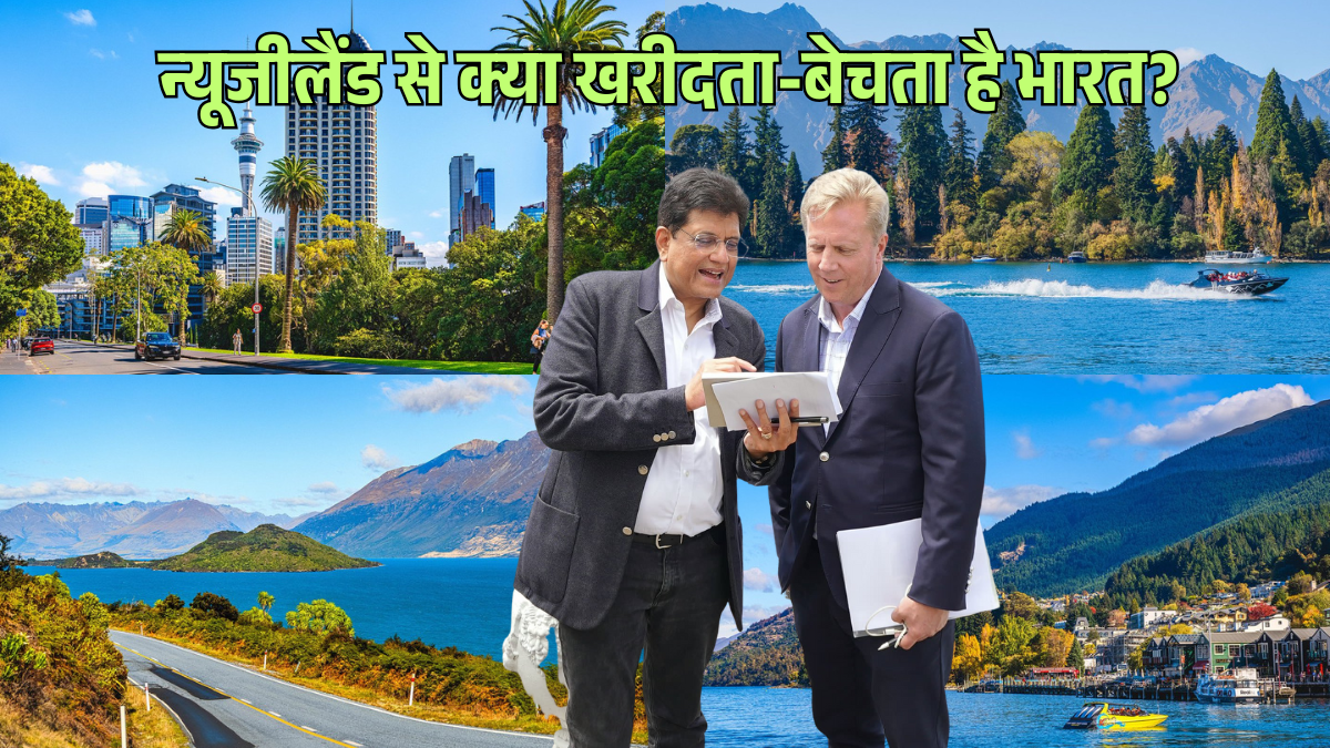free trade agreement with new zealand wool kiwis and apples will become cheaper what india buy from new zealand