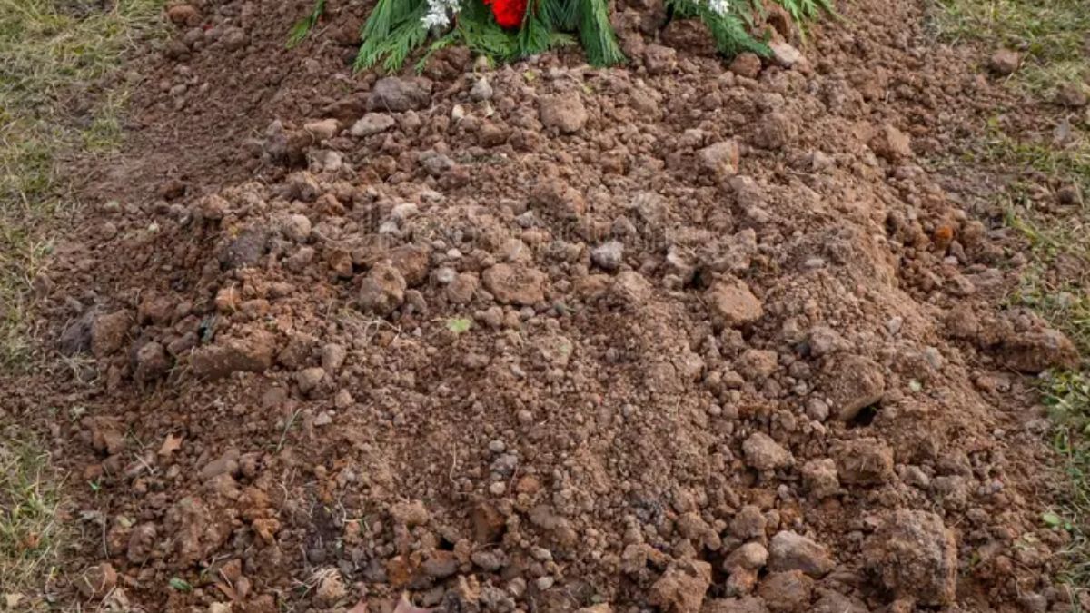 ghaziabad 7yearold girls death due to drowning not murder