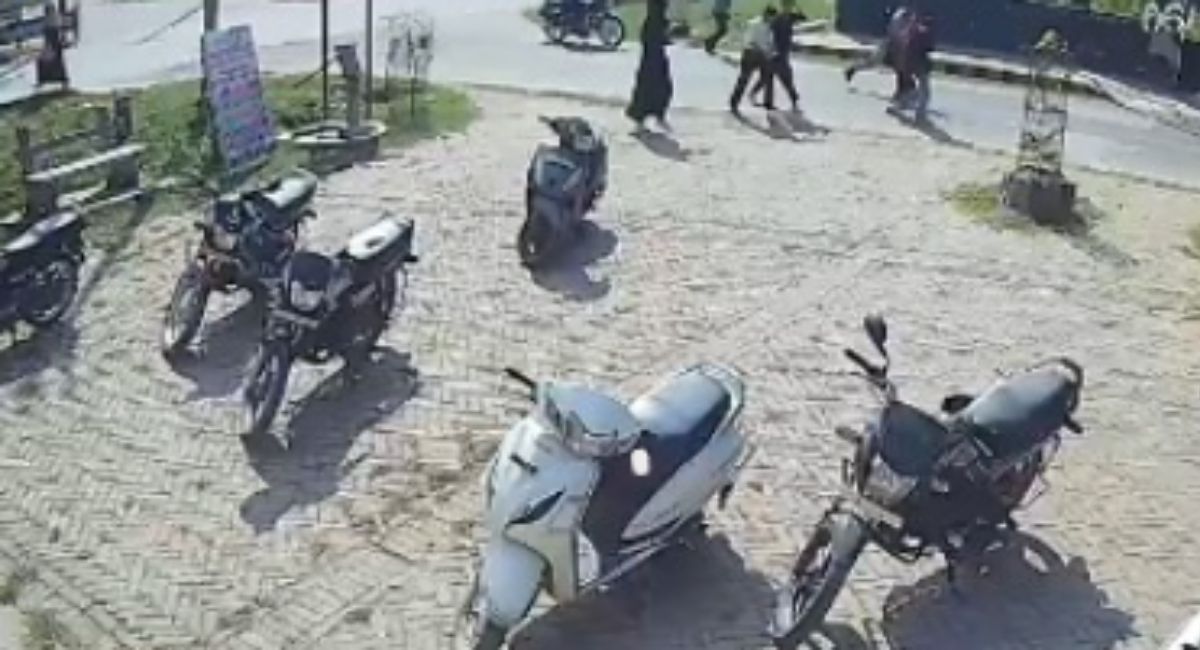 shahjahanpur bee attack causes panic student injured