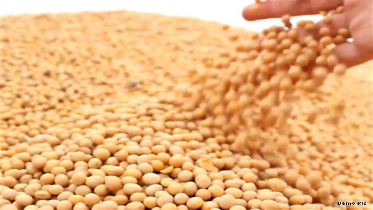 bhavantar yojana mp govt to provide 1300quintal to soybean farmers