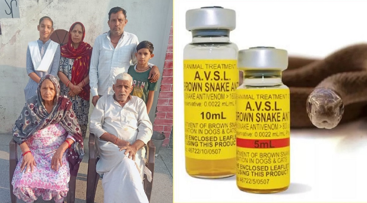 snake bite man recovered after 255 antivenom injections 5 days in coma