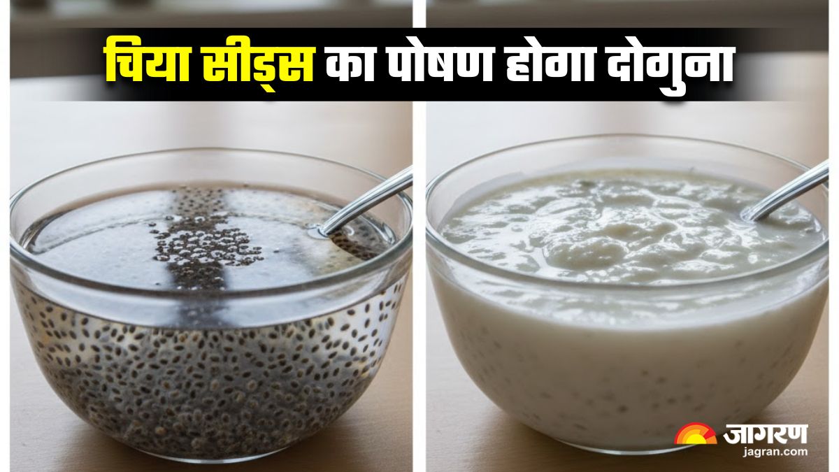 chia seeds in water vs curd which is healthier and more beneficial