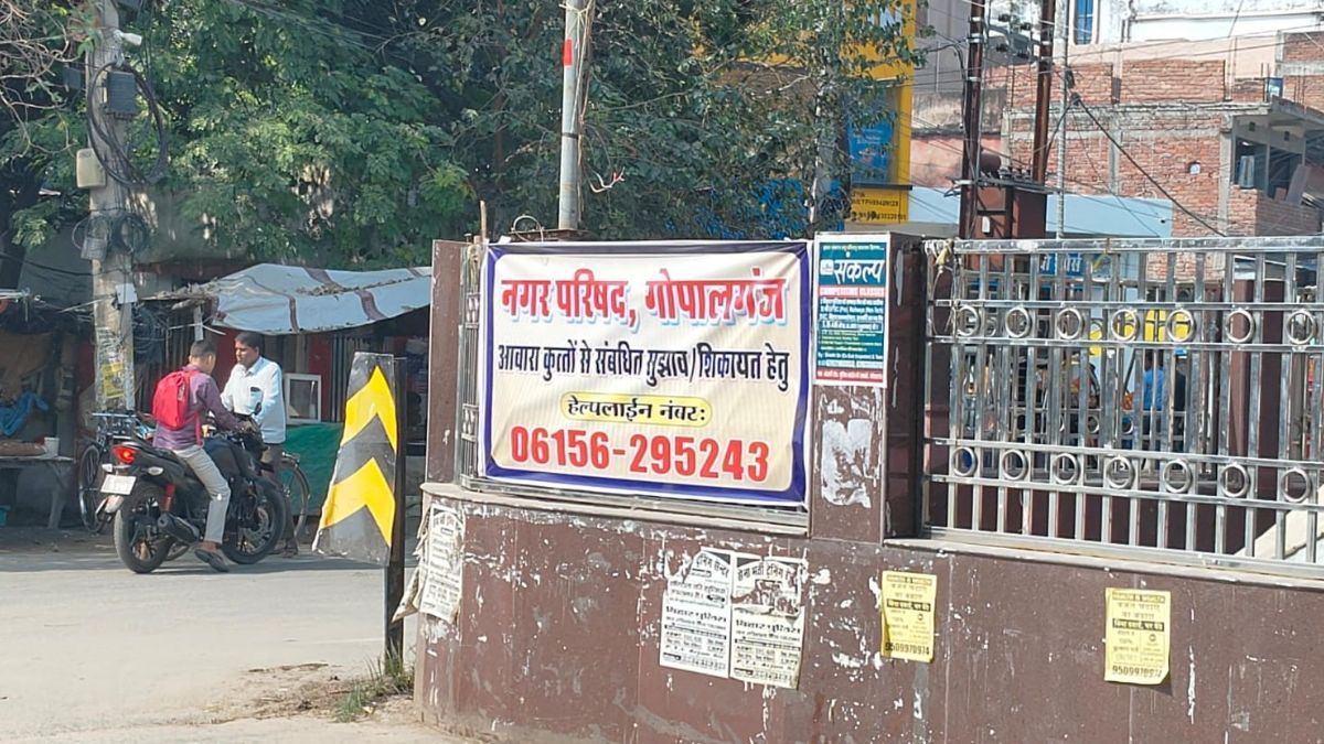 gopalganj news helpline number issued to control stray dogs