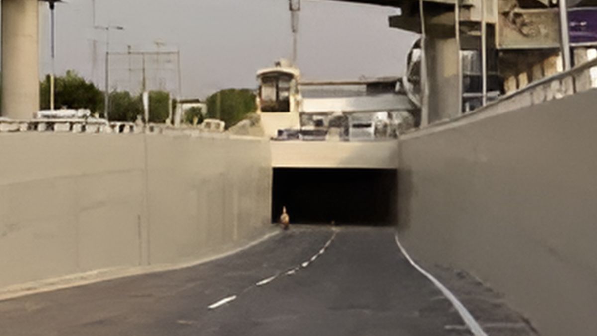 noidagreater noida expressway underpass connecting link road project
