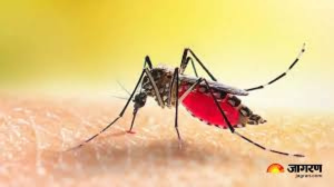 ghaziabad dengue alert 32 new cases womans death