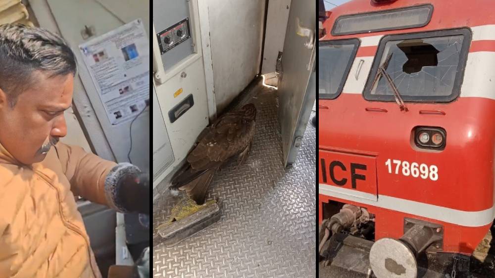 train hits bird in kashmir loco pilot injured rail mishap averted