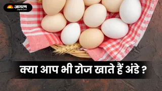 क्या आप जानते हैं रोजाना अंडा खाने के फायदे (Picture Credit-Freepik)