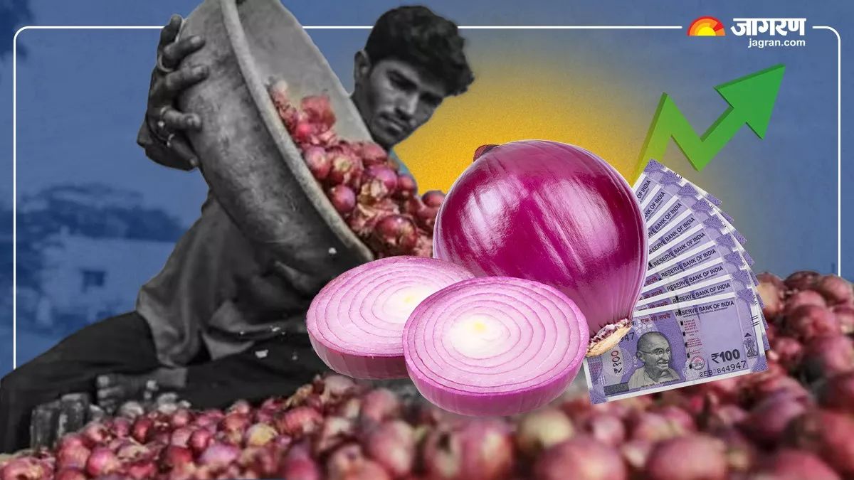 integrated horticulture mission subsidy for vegetable herb farming