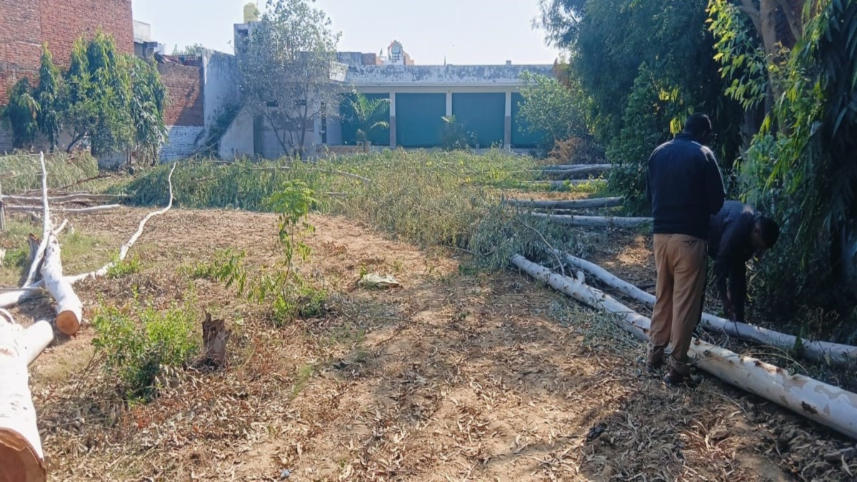 35 trees cut down in agra violation order of supreme court in ttz