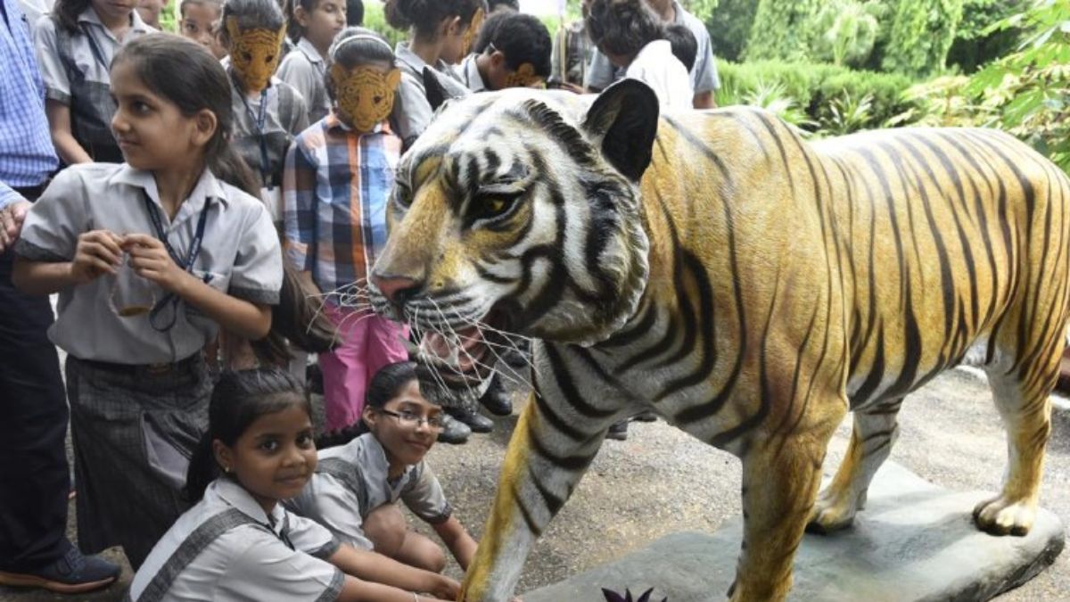 delhi zoo reopens crowd gathers after two months